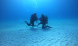 Cold Water Master Scuba Diver