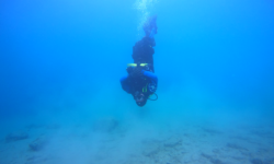 PADI Peak Performance Buoyancy