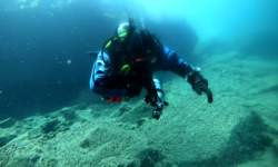 Discover Local Diving