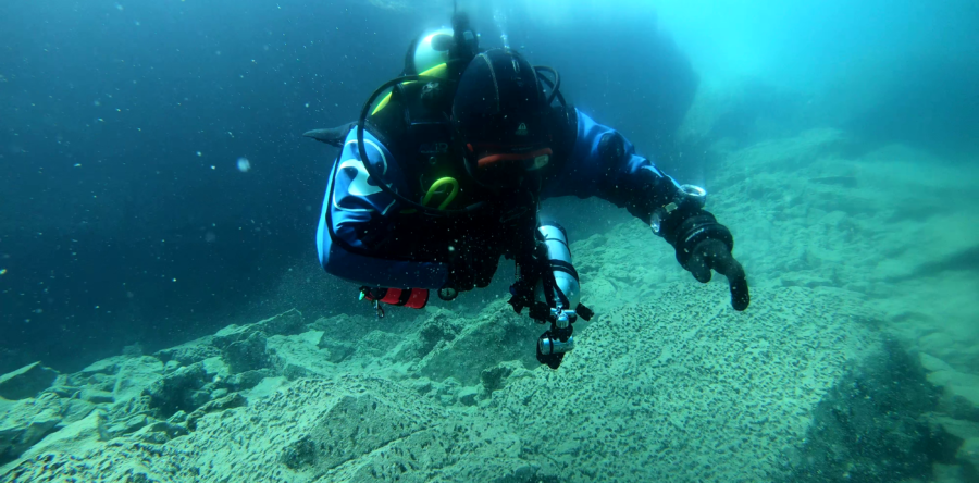 Discover Local Diving